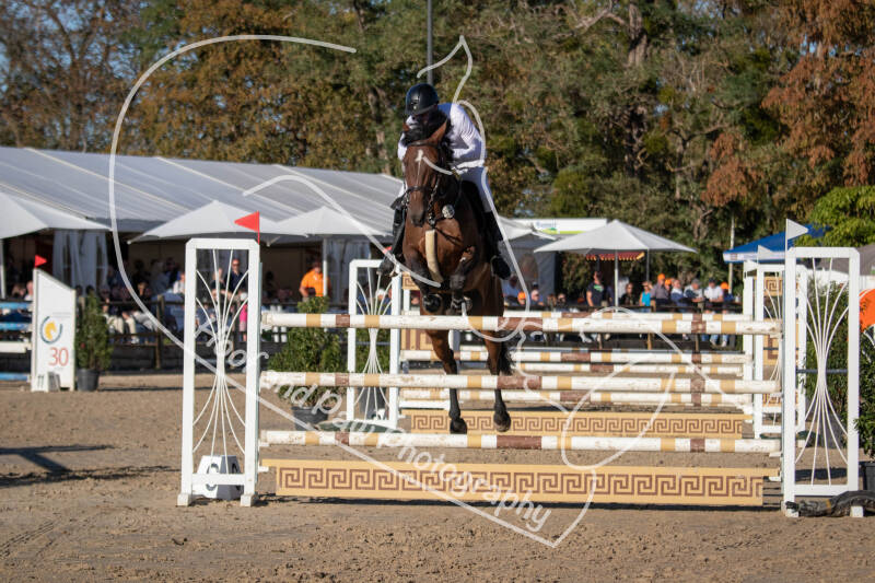 bouferterhaff-jumping-42-standard-bx6gio.jpg