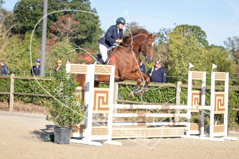 bouferterhaff-jumping-42-standard-nq1j2p.jpg