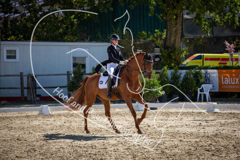 bouferterhaff-jumping-42-standard-qrg2vx.jpg