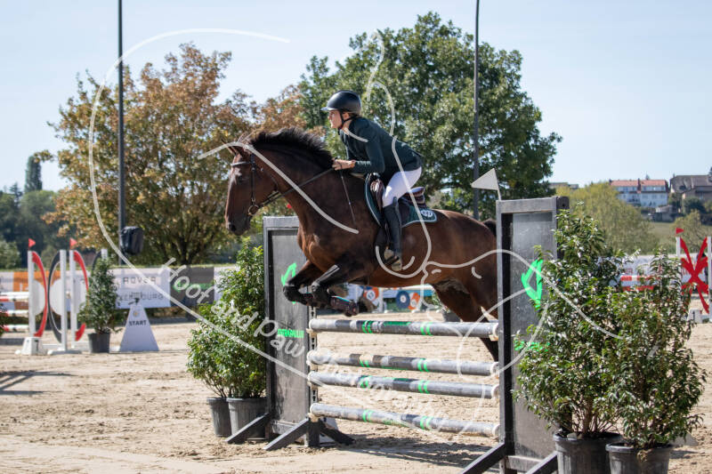 bouferterhaff-jumping-42-standard-s1m74e.jpg