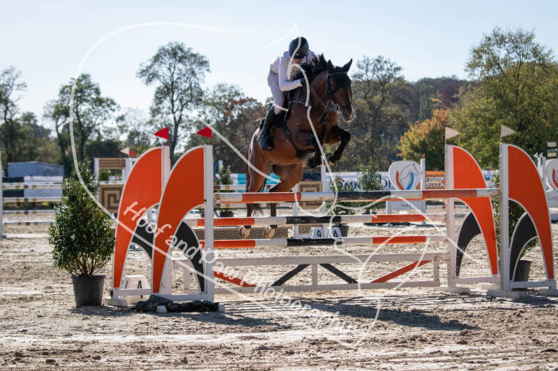 bouferterhaff-jumping-42-standard-tmi5do.jpg