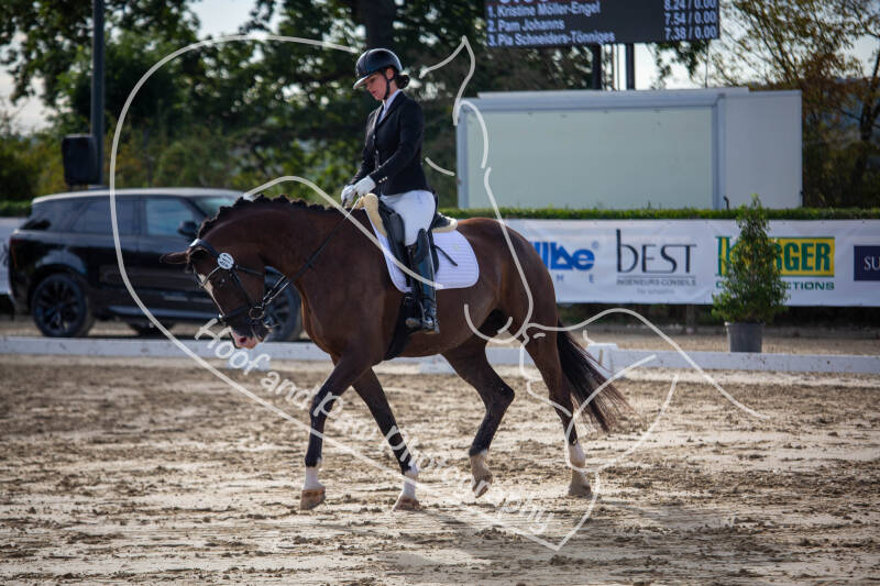 bouferterhaff-jumping-42-standard-wh3655.jpg