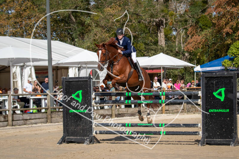 bouferterhaff-jumping-42-standard-zitmlw.jpg