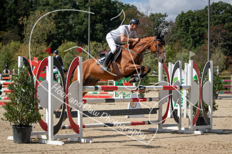 bouferterhaff-jumping-42-standard.jpg