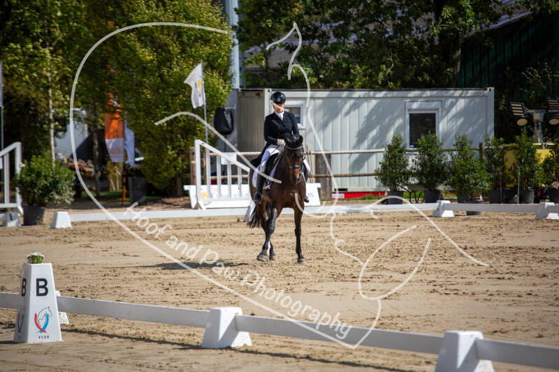 bouferterhaff-jumping-43-standard-381aft.jpg