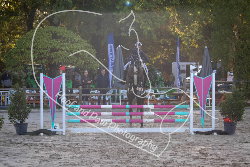 bouferterhaff-jumping-43-standard-3uvb4p.jpg