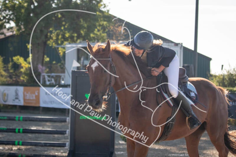 bouferterhaff-jumping-43-standard-4tywka.jpg