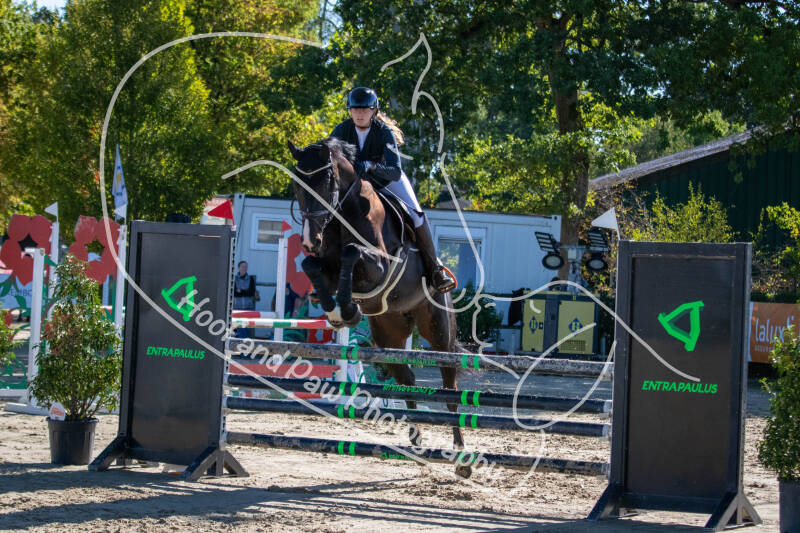 bouferterhaff-jumping-43-standard-7tv28m.jpg