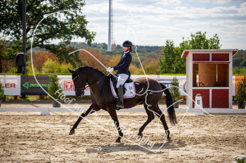 bouferterhaff-jumping-43-standard-9cza0a.jpg