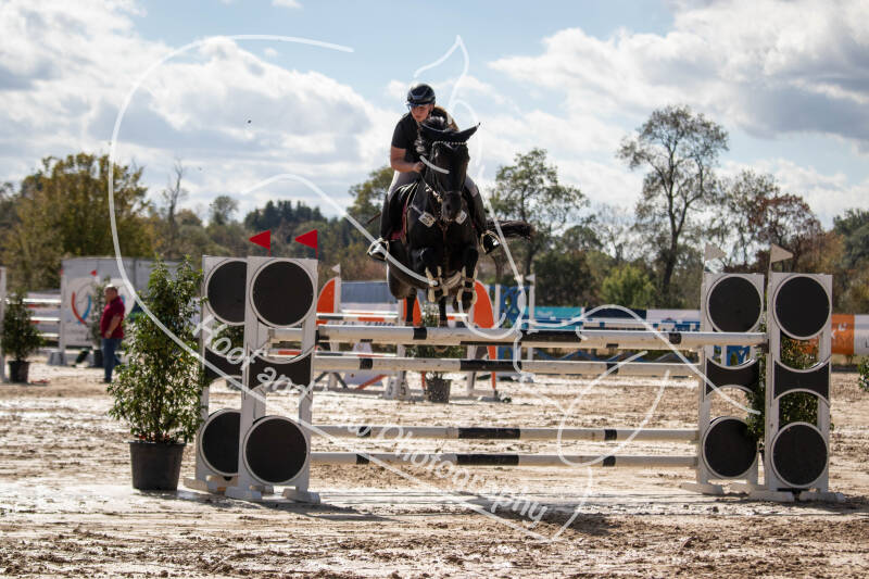 bouferterhaff-jumping-43-standard-kz6jau.jpg