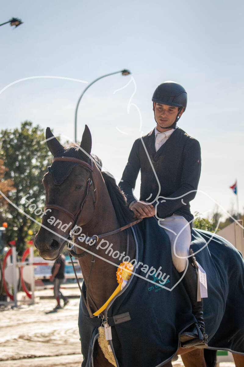 bouferterhaff-jumping-43-standard-ocyt4i.jpg