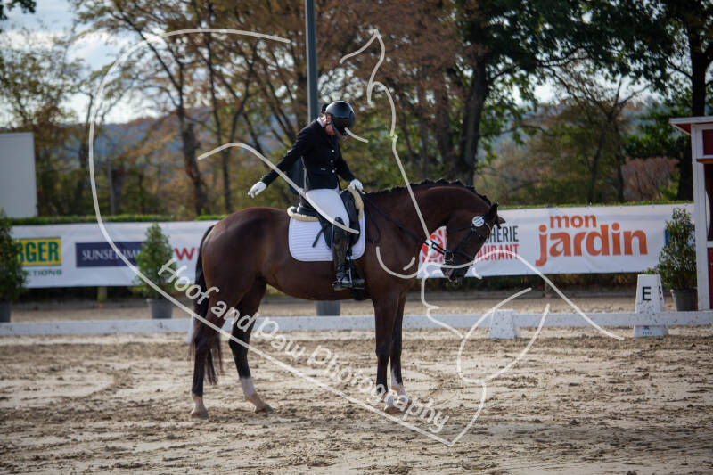 bouferterhaff-jumping-43-standard-ox9f1g.jpg