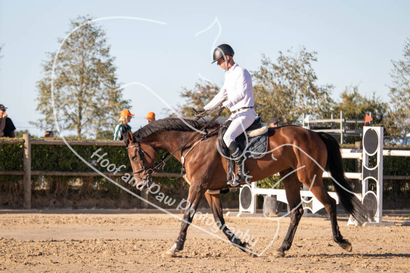 bouferterhaff-jumping-43-standard-rjlwz8.jpg