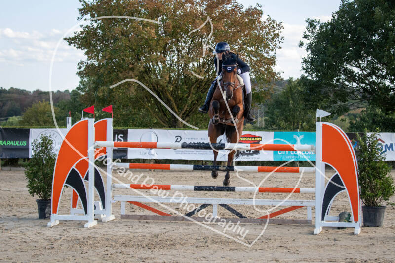 bouferterhaff-jumping-43-standard-v7dw0q.jpg
