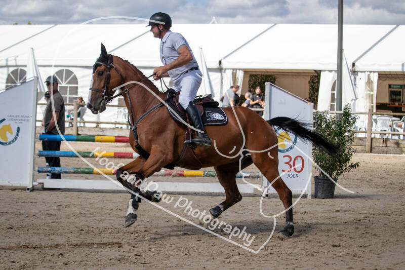 bouferterhaff-jumping-43-standard.jpg