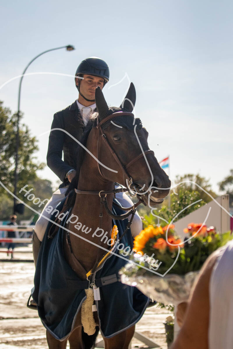 bouferterhaff-jumping-44-standard-b0cpj2.jpg