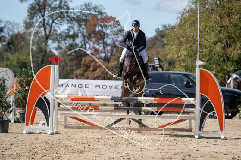bouferterhaff-jumping-44-standard-bbpmac.jpg