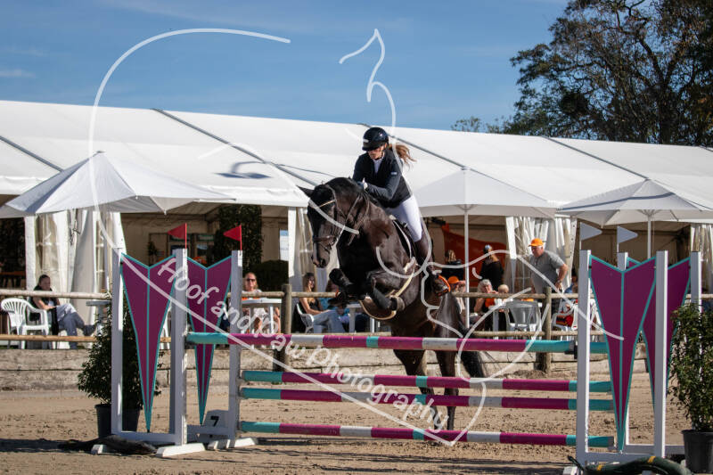 bouferterhaff-jumping-44-standard-g6q8u2.jpg