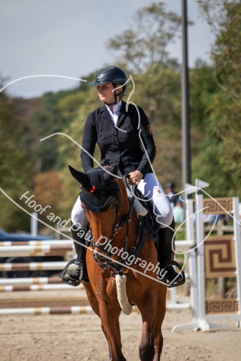 bouferterhaff-jumping-44-standard-h3tvtu.jpg