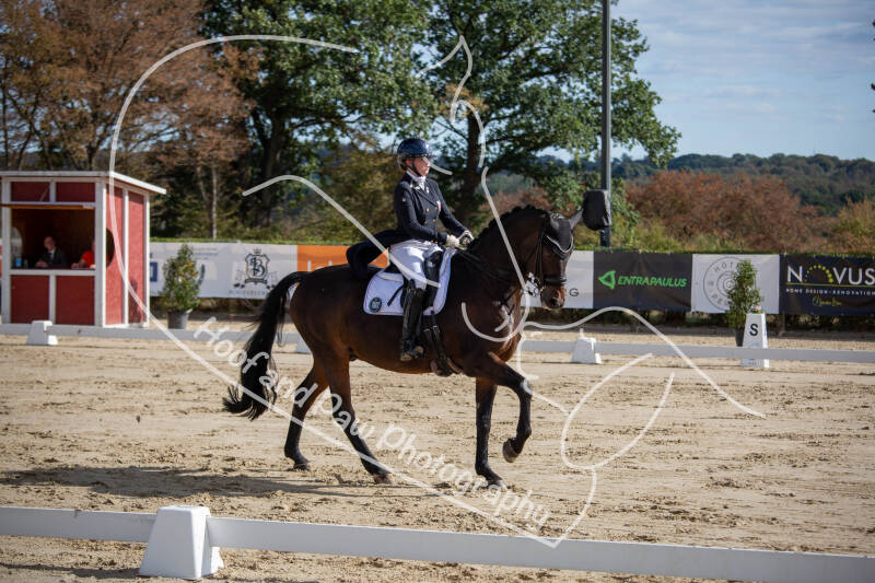 bouferterhaff-jumping-44-standard-jkrc3d.jpg