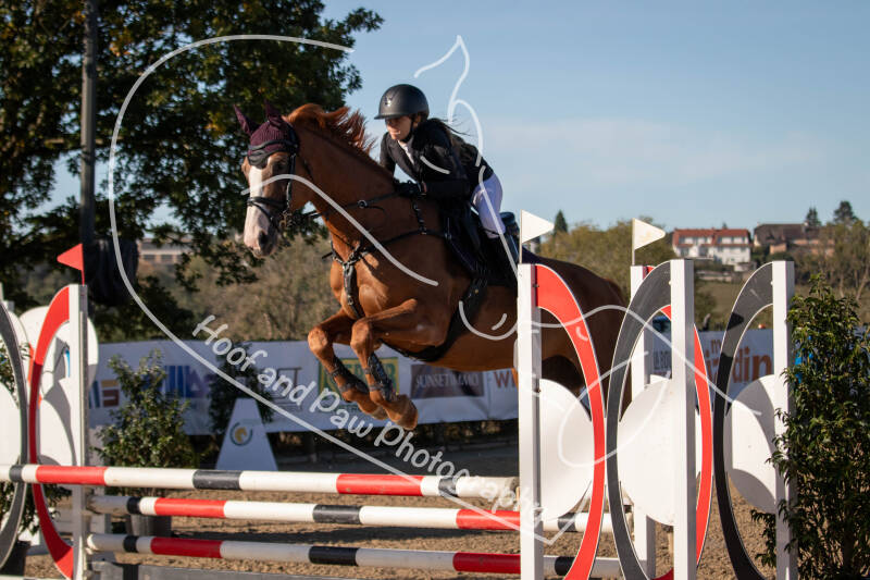 bouferterhaff-jumping-44-standard-msr0uy.jpg