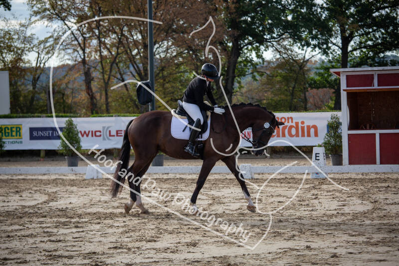 bouferterhaff-jumping-44-standard-smf1h8.jpg
