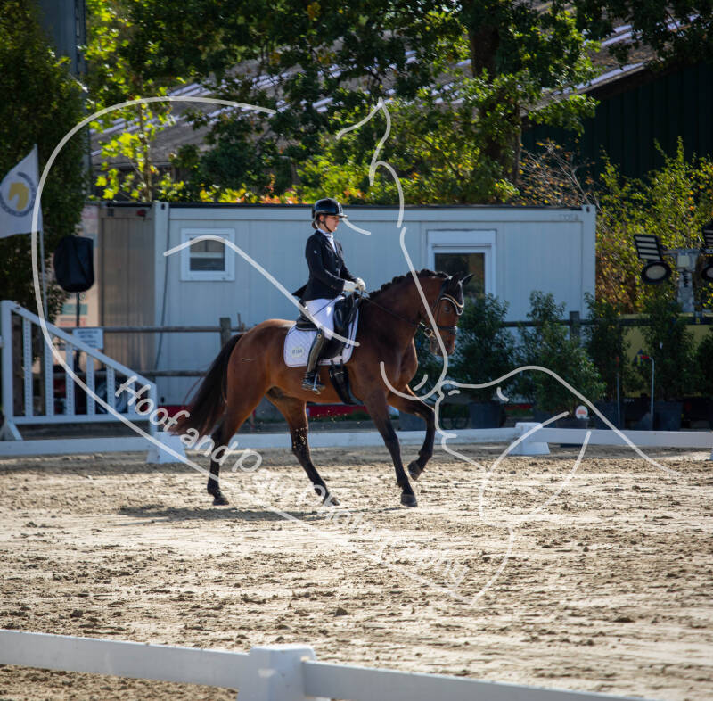 bouferterhaff-jumping-44-standard-up8hh1.jpg