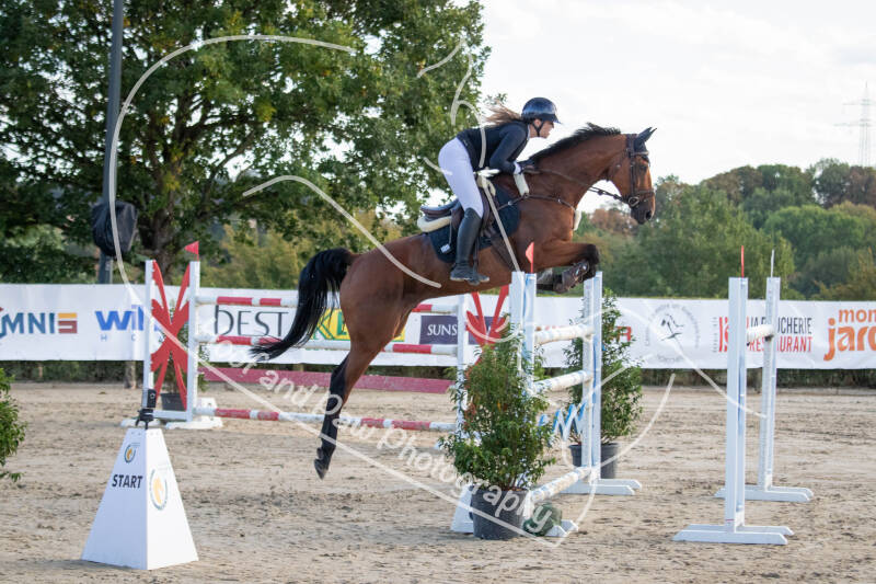 bouferterhaff-jumping-44-standard-vmmd39.jpg