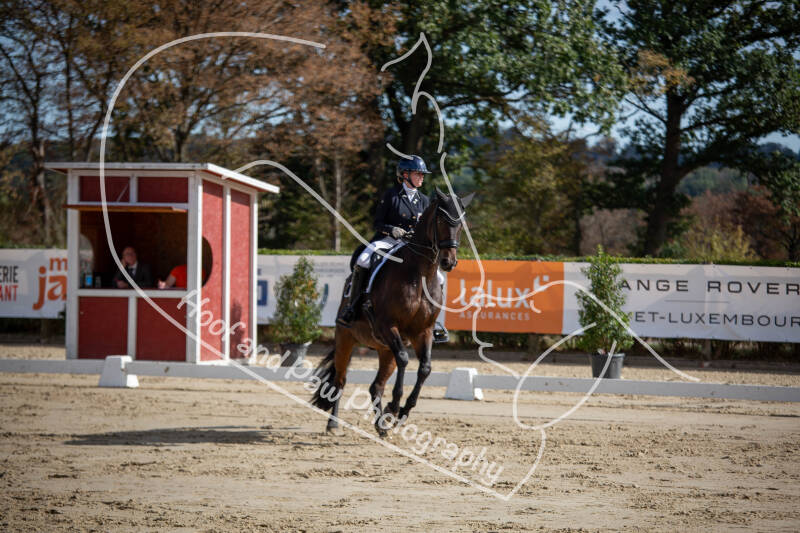 bouferterhaff-jumping-45-standard-9vl8xm.jpg
