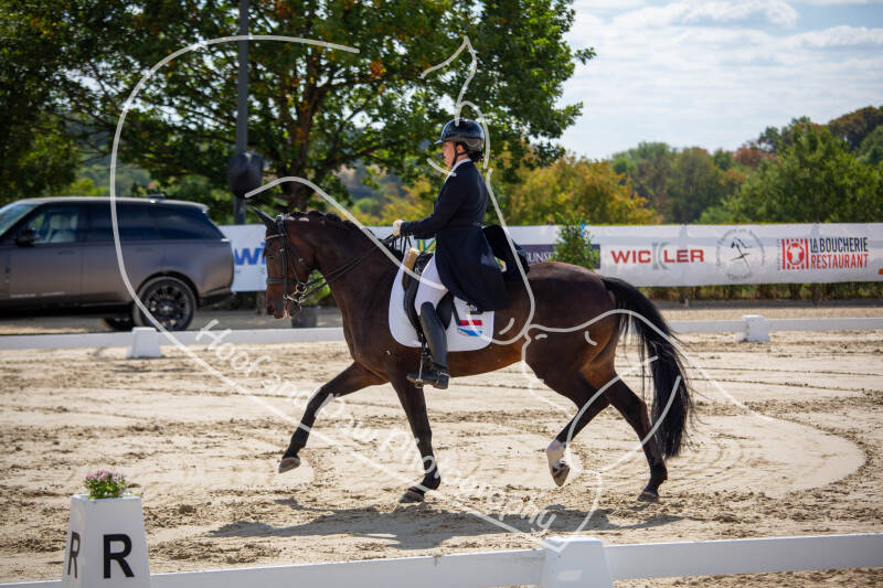 bouferterhaff-jumping-45-standard-cecl6m.jpg