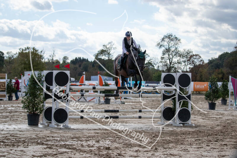 bouferterhaff-jumping-45-standard-in5oor.jpg