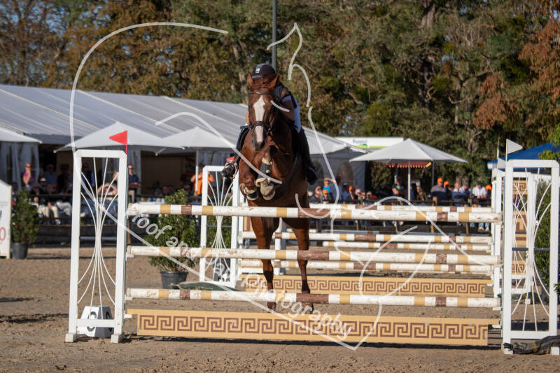 bouferterhaff-jumping-45-standard-yx03sj.jpg