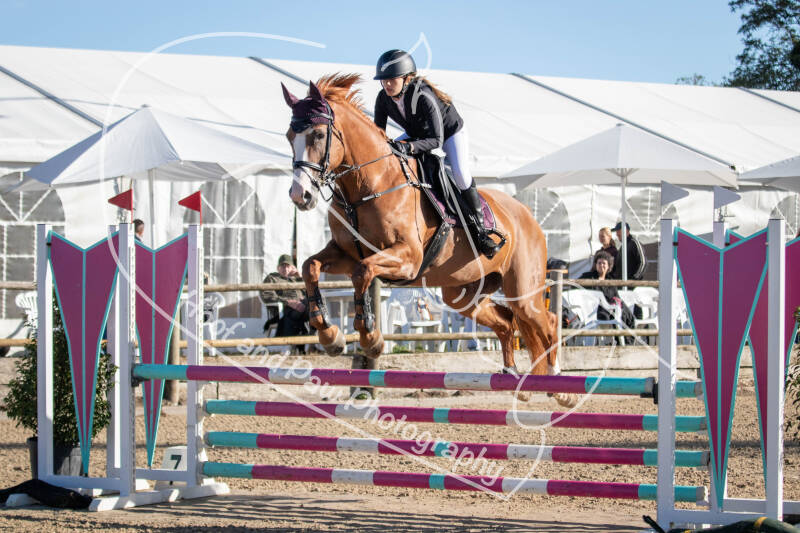 bouferterhaff-jumping-46-standard-5de1s8.jpg