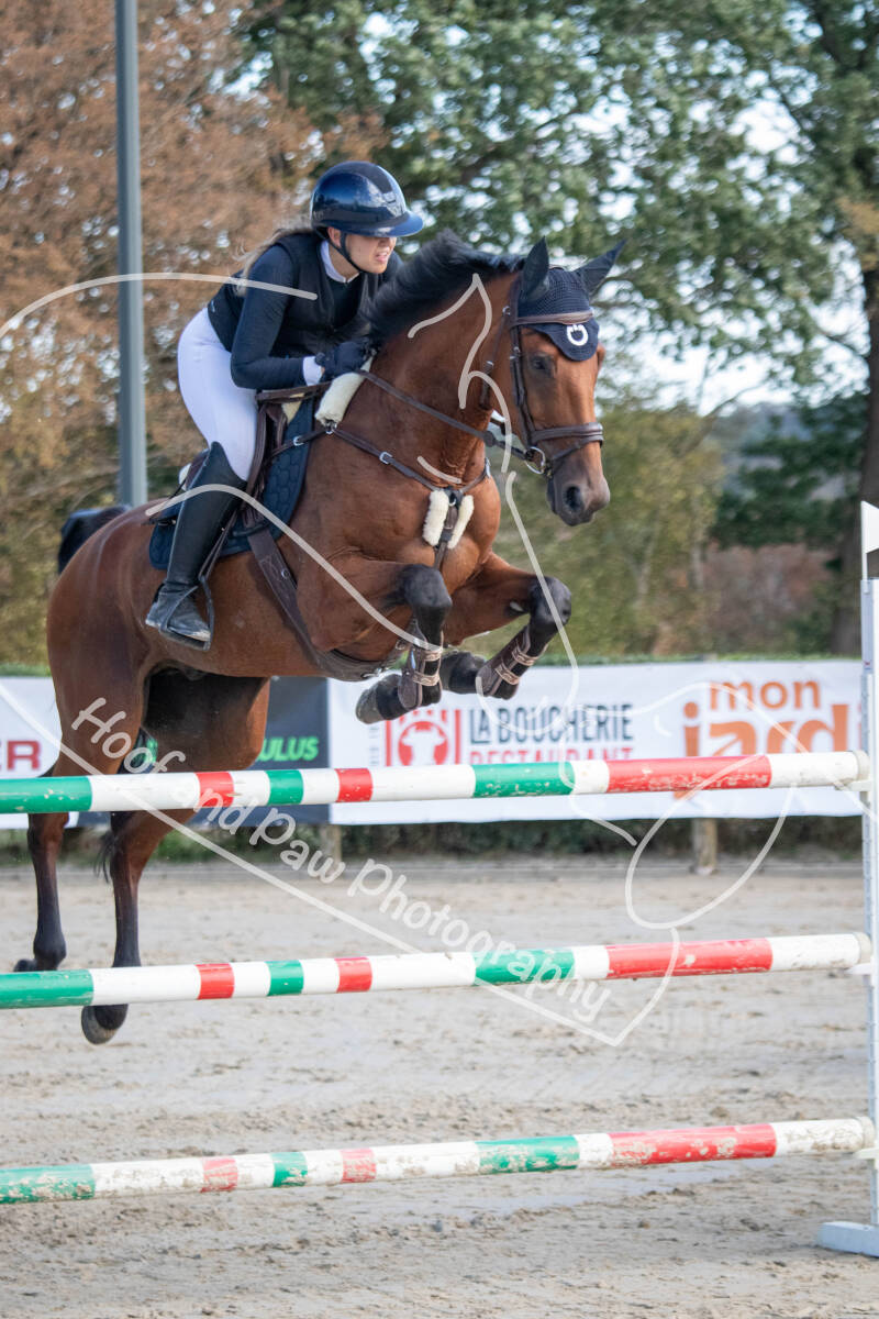 bouferterhaff-jumping-46-standard-78nedv.jpg