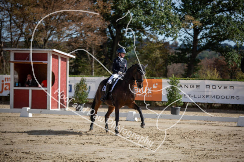 bouferterhaff-jumping-46-standard-8h065g.jpg