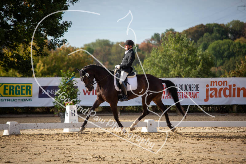 bouferterhaff-jumping-46-standard-bwfvqw.jpg
