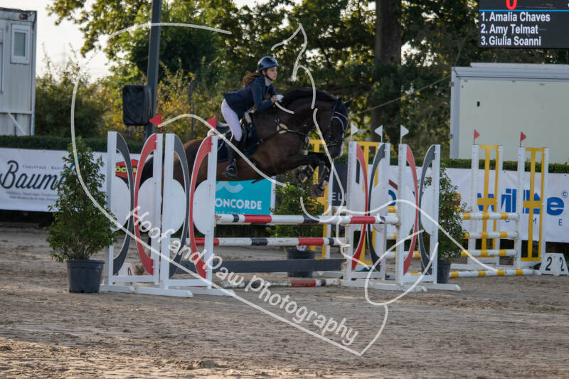 bouferterhaff-jumping-46-standard-efbapy.jpg