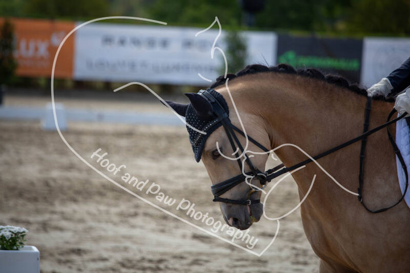 bouferterhaff-jumping-46-standard-et7aj2.jpg