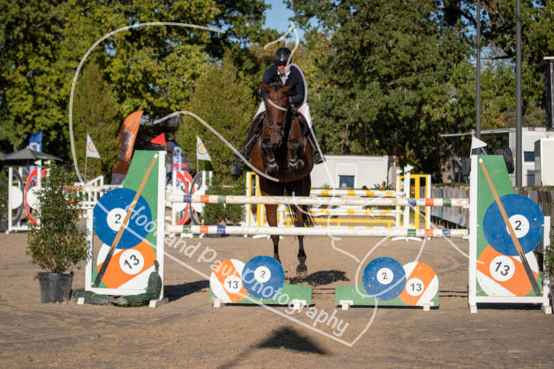 bouferterhaff-jumping-46-standard-lv0s0v.jpg