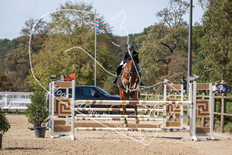 bouferterhaff-jumping-46-standard-mueqh7.jpg