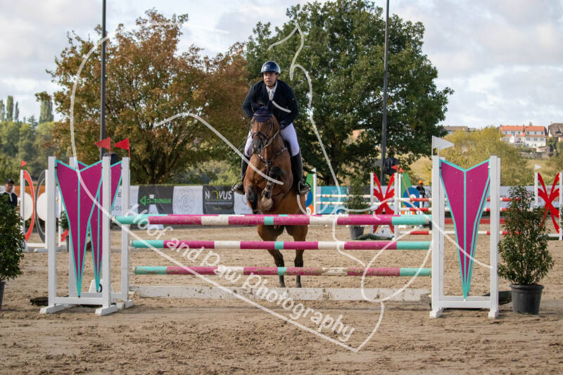 bouferterhaff-jumping-46-standard-o9x4y9.jpg