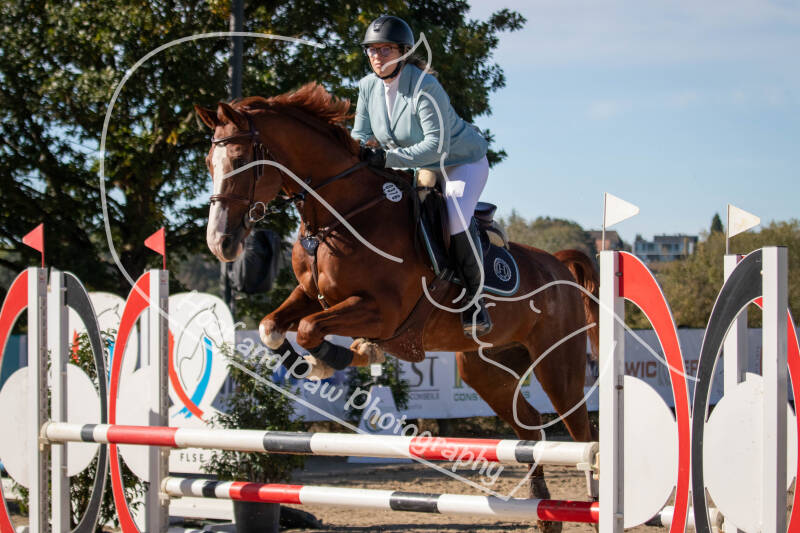 bouferterhaff-jumping-46-standard-oituah.jpg