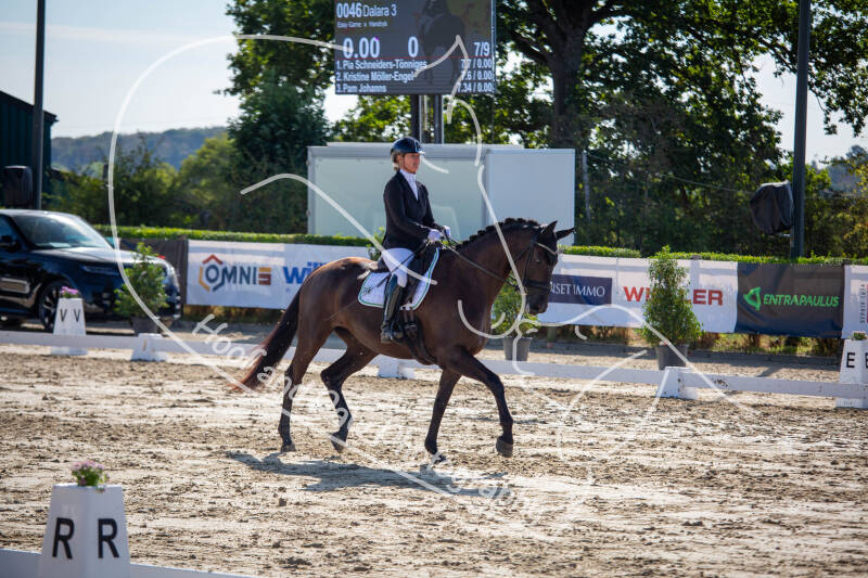 bouferterhaff-jumping-46-standard-tbgush.jpg