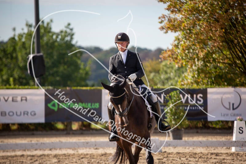 bouferterhaff-jumping-47-standard-d31ccf.jpg