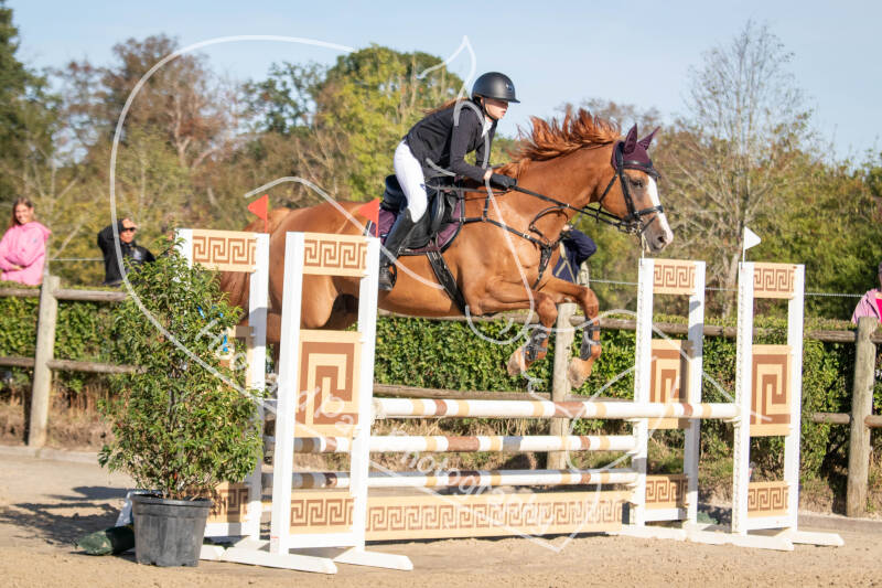 bouferterhaff-jumping-47-standard-gb7ynm.jpg