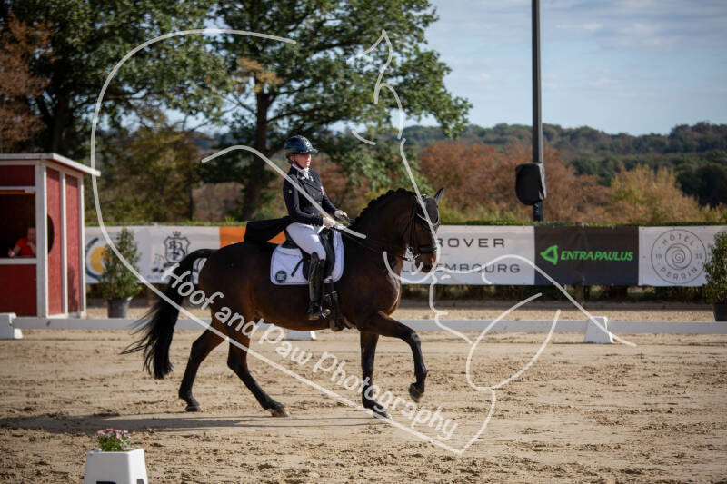 bouferterhaff-jumping-47-standard-hv2eu6.jpg