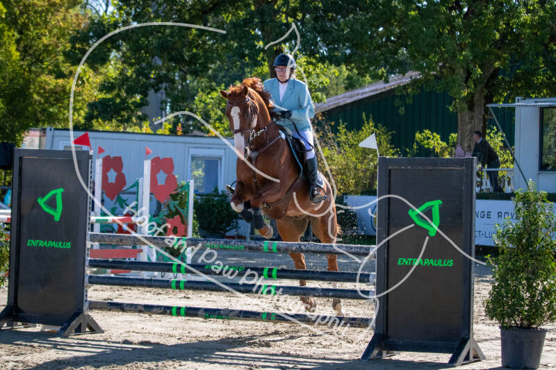 bouferterhaff-jumping-47-standard-ofwjrb.jpg