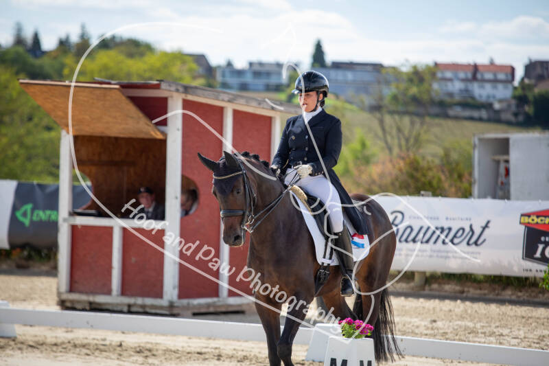 bouferterhaff-jumping-47-standard-reuab7.jpg