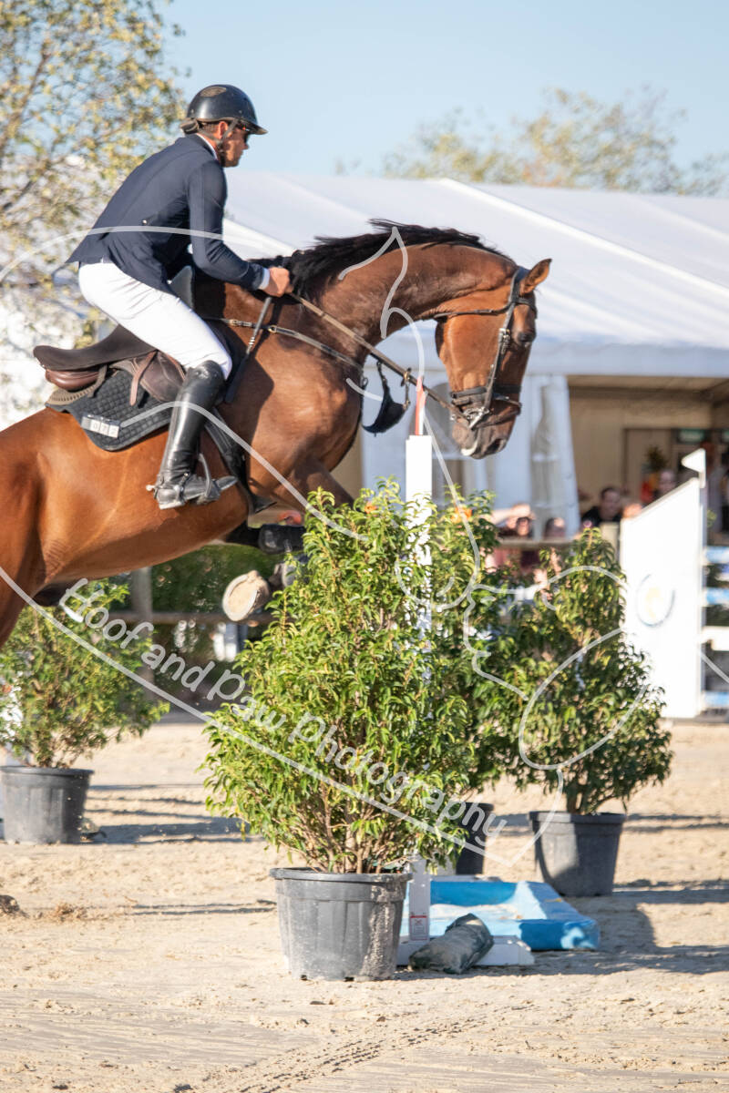 bouferterhaff-jumping-47-standard-xu9hlf.jpg