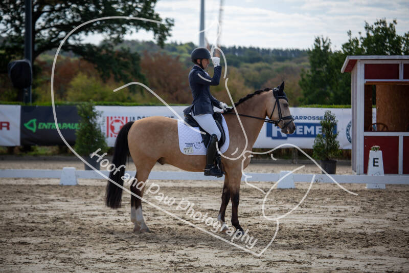 bouferterhaff-jumping-47-standard-ynpo7c.jpg